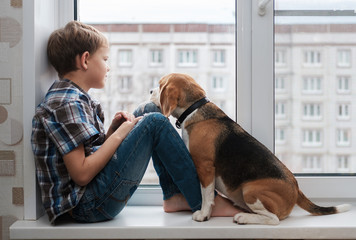 European boy and Beagle dog on the windowsill © androsov858