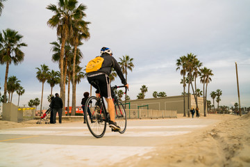 Obraz premium Junger Fahrradfahrer am Strand mit Palmen im Hintergrund
