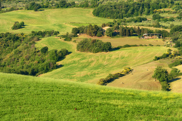 Magnificent spring rural landscape. Beautiful view of typical tuscan green wave hills, cypresses trees, magical sunlight, beautiful golden fields and meadows.Tuscany, Italy, Europe