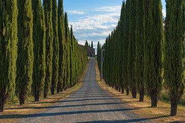 Fototapeta na wymiar Magnificent spring landscape.Beautiful view of typical tuscan farm house, green wave hills, cypresses trees, hay bales, olive trees, beautiful golden fields and meadows.Tuscany, Italy, Europe