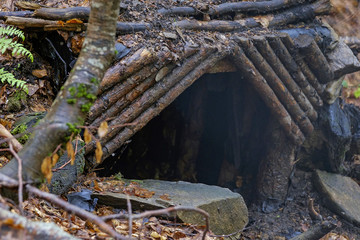 Fototapeta na wymiar Hand made bear lair in forest 2