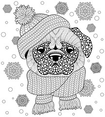 Pug dog with knitted hat and scarf. Tattoo or adult antistress coloring page. Black and white hand drawn doodle for coloring book