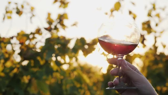 A hand holds a gourd with red wine. Against the background of the vineyard and the setting sun