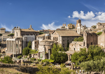 Fototapeta na wymiar View of the Roman Forum. Rome, Italy