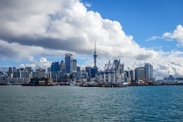 Obraz premium Auckland widok z morza, Nowa Zelandia