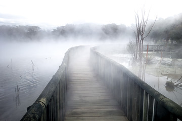 Bridge on a misty lake in Rotorua, New Zealand