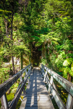 Bridge on a river. Abel Tasman National Park, New Zealand