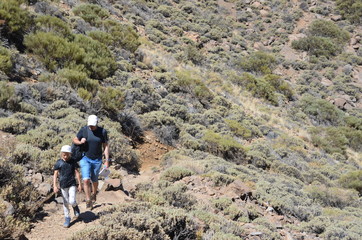 Fototapeta premium tenerife