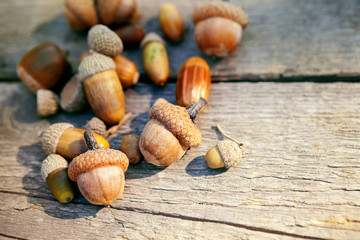 Acorns on an wooden surface