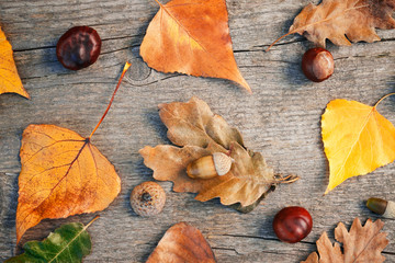 Autumn background with colorful leaves © Cherries