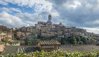 panoramic view of Santa Maria catedral,Siena
