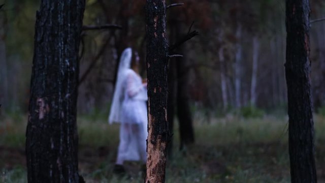 Halloween. The young woman in the white bride dress walking through the burnt pine forest holding in the arms a pumpkin with a lighted wax candle. 4K