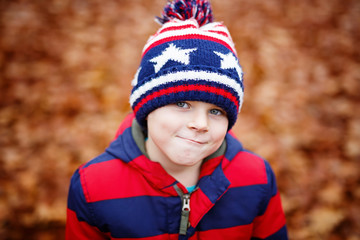 Cute little kid boy on autumn leaves background in park.