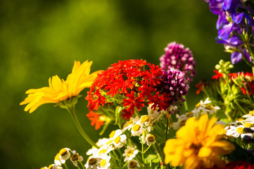 a bouquet of bright spring flowers of various types