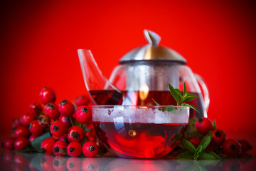 rose hip tea