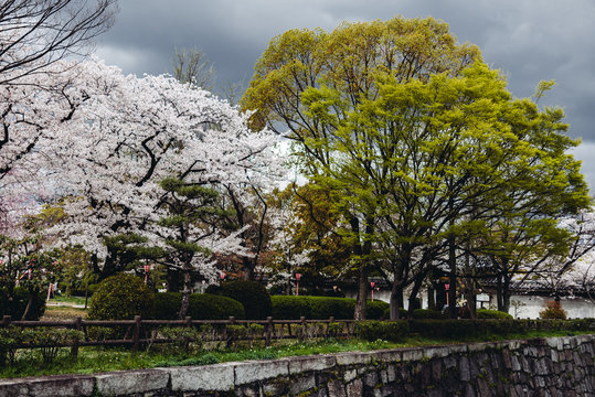 Park in Osaka Castle