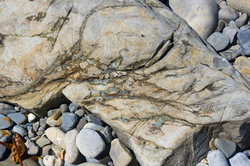 driftwood, washed up by the sea on a pebble beach