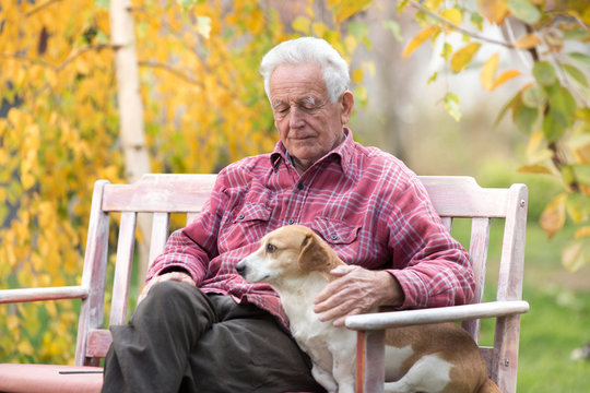 Old man with dog on bench in park