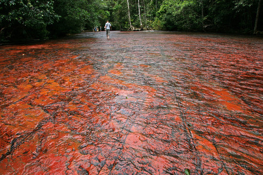 Venezuela, Quebrada de Jaspe (Jaspis)