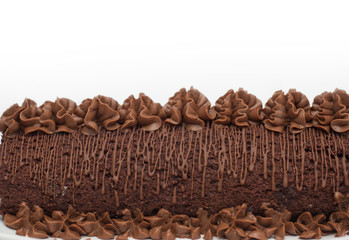 Sweet and Tasty Chocolate Cake with Cream isolated on white with Copy Space.