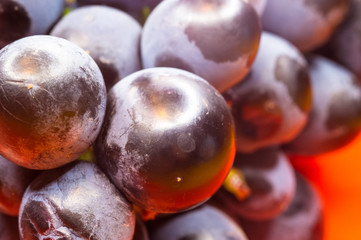 Berry blue wine grapes on a red saucer