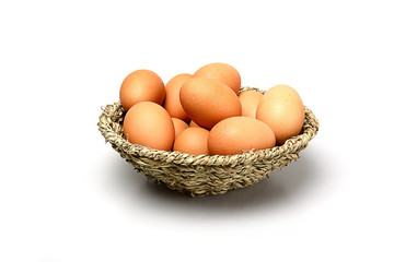 Chicken egg isolated