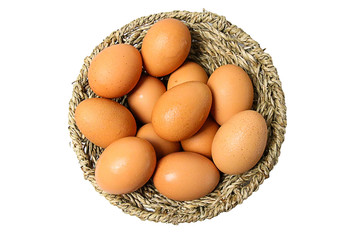 Chicken egg isolated