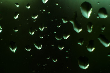 raindrops on the window glass