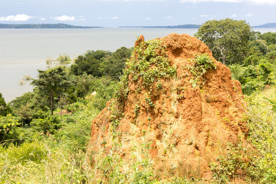 A termite ant hill (mound) in the wilderness. Lake Victoria is in the background. Photo taken in Busagazi, Uganda on May 03 2017.