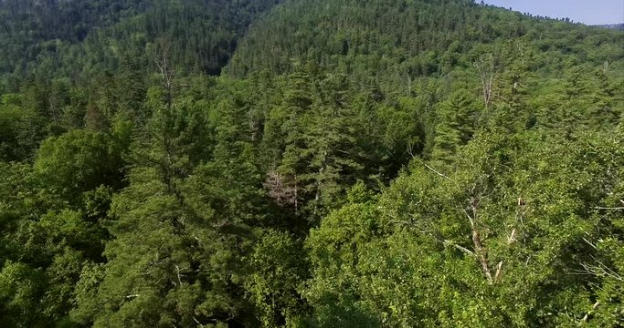 Flying above the great autumn forests at sunset in Sikhote-Alin Nature Reserve, a biosphere reserve in Russia. It is an important reserve for the endangered Siberian tiger was founded in 1935. Aerial