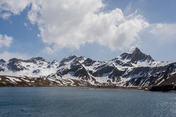 Obraz premium South Georgia Grytviken landscape