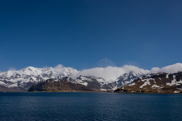 Obraz premium South Georgia Grytviken landscape