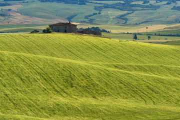Magnificent spring landscape.Beautiful view of typical tuscan farm house, green wave hills, cypresses trees, hay bales, olive trees, beautiful golden fields and meadows.Tuscany, Italy, Europe