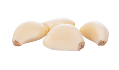 Garlic isolated on white background