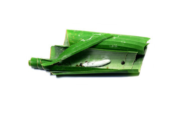 life cycle of butterflies.the larva (worm)of butterfly in banana leaves on white isolated background