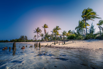 Palm beach in Cuba