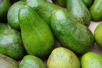 fresh green avocado