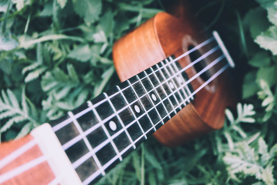 Ukulele guitar at the mountain nature forest grass. Photo depicts musical instrument Ukulele small guitar, outdoor natural green background. Strings close up. Macro view.