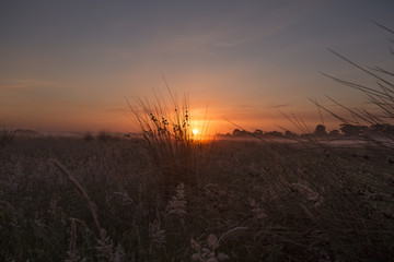 Fototapeta premium Misty Fields at Sunrise