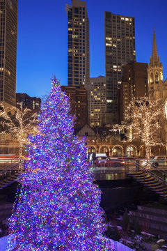 Christmass Tree in Chicago