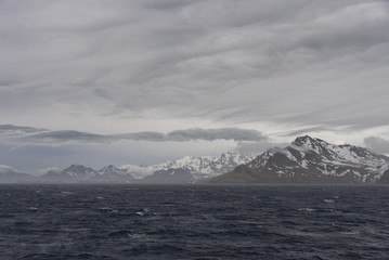 South Georgia morning landscape