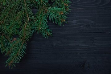 Christmas green spruce branch isolated on black background