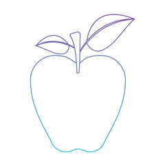 apple fruit with stem and leaves in degraded purple to blue color contour