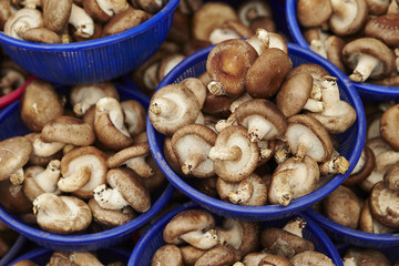 mushrooms in a bowl