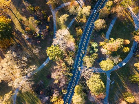 Central park road aerial view in autumn