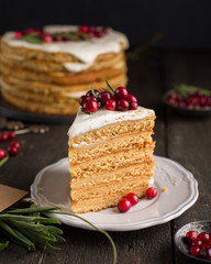 Honey nut ginger and carrot cake decorated with cranberries and rosemary. Perfect Christmas baked goods that you want to eat!)