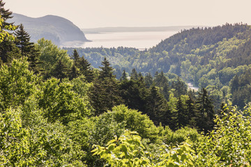 Panorama of Fundy National Park