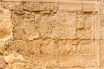 Fototapeta na wymiar Hieroglyphen