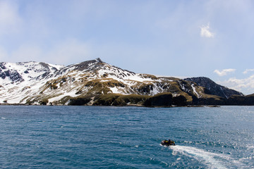South Georgia landscape