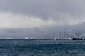 South Georgia landscape